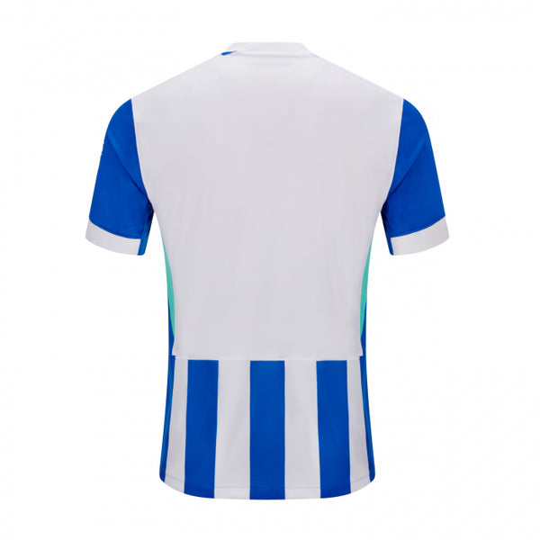 Brighton & Hove Albion FC 2025-2026 Home Men's Football Shirt