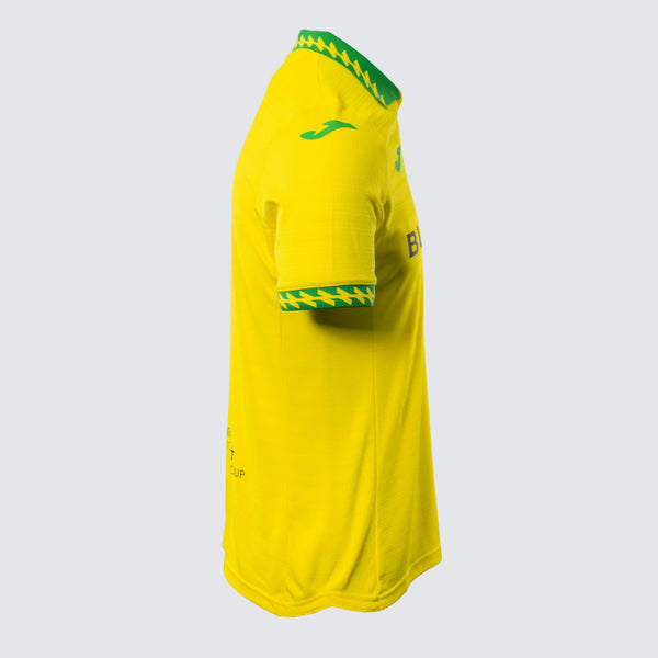 Norwich City 2025-2026 Home Men's Football Shirt Yellow