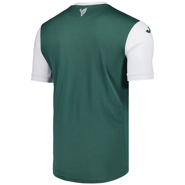 Hibernian FC 2025-2026 Home Men's Football Shirt Green
